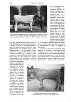 giornale/UM10003065/1934/unico/00000700