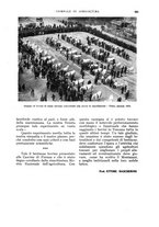 giornale/UM10003065/1934/unico/00000707