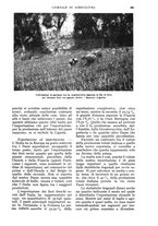 giornale/UM10003065/1934/unico/00000717