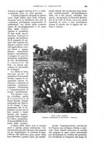 giornale/UM10003065/1934/unico/00000719