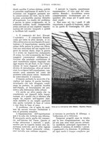 giornale/UM10003065/1934/unico/00000728