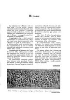 giornale/UM10003065/1934/unico/00000809