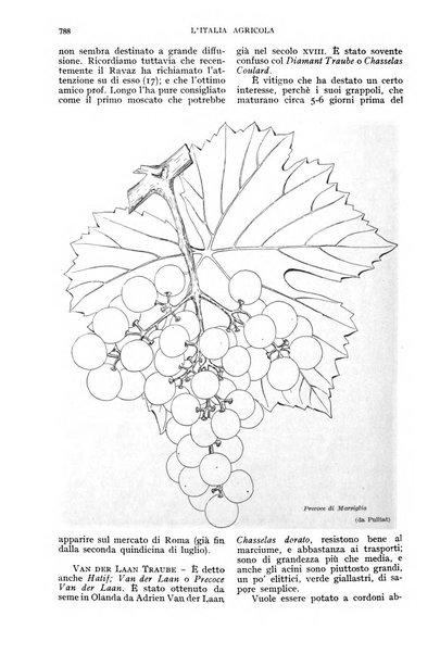 L'Italia agricola