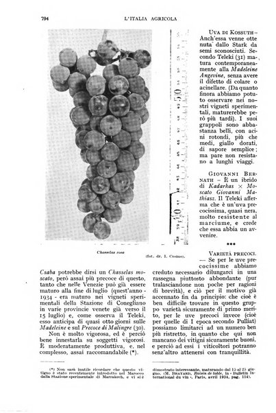 L'Italia agricola