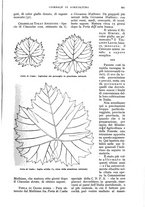 giornale/UM10003065/1934/unico/00000831