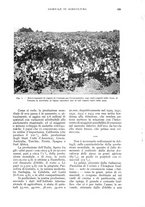 giornale/UM10003065/1934/unico/00000859