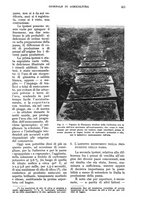 giornale/UM10003065/1934/unico/00000863