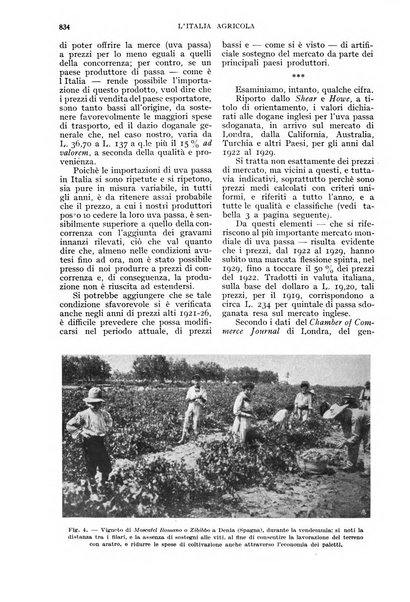 L'Italia agricola