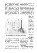 giornale/UM10003065/1934/unico/00000884