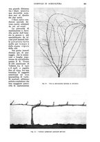 giornale/UM10003065/1934/unico/00000891