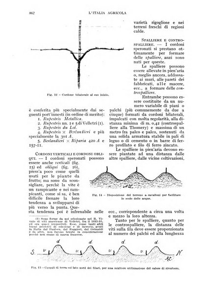 L'Italia agricola