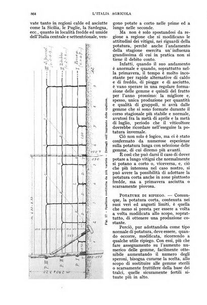 L'Italia agricola