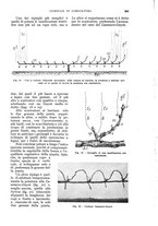 giornale/UM10003065/1934/unico/00000895