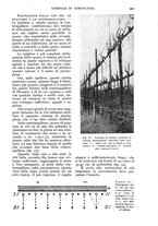 giornale/UM10003065/1934/unico/00000897