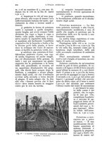 giornale/UM10003065/1934/unico/00000900