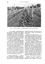 giornale/UM10003065/1934/unico/00000904