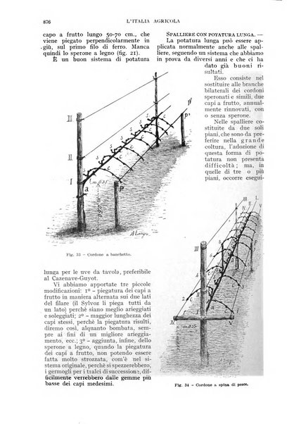 L'Italia agricola