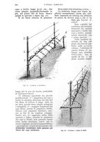 giornale/UM10003065/1934/unico/00000906