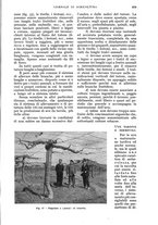 giornale/UM10003065/1934/unico/00000909