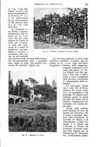 giornale/UM10003065/1934/unico/00000911