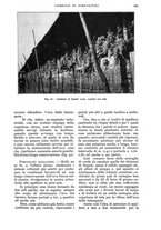 giornale/UM10003065/1934/unico/00000913