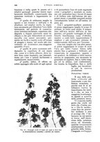 giornale/UM10003065/1934/unico/00000916