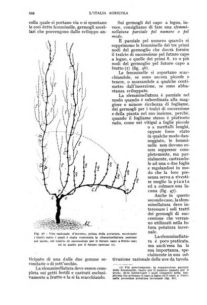 L'Italia agricola