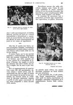 giornale/UM10003065/1934/unico/00000927