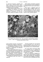 giornale/UM10003065/1934/unico/00000932