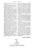 giornale/UM10003065/1934/unico/00000941