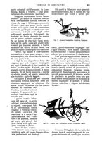 giornale/UM10003065/1934/unico/00000959