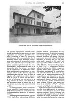 giornale/UM10003065/1934/unico/00000971