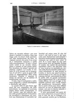 giornale/UM10003065/1934/unico/00000972