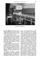 giornale/UM10003065/1934/unico/00000973