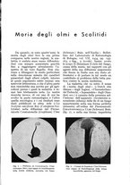 giornale/UM10003065/1934/unico/00000977