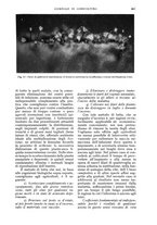 giornale/UM10003065/1934/unico/00000983