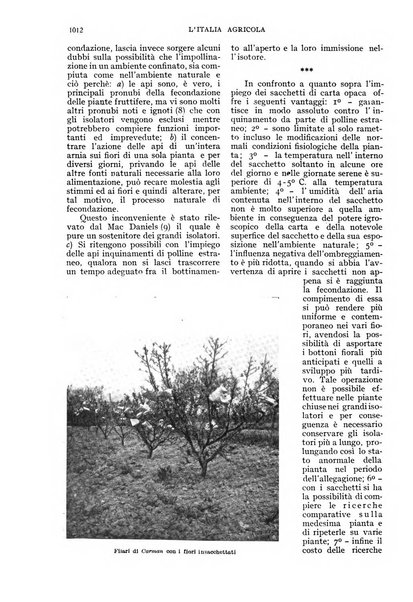 L'Italia agricola