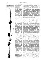 giornale/UM10003065/1934/unico/00001084