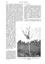 giornale/UM10003065/1934/unico/00001086