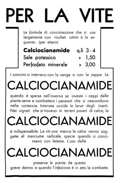 L'Italia agricola