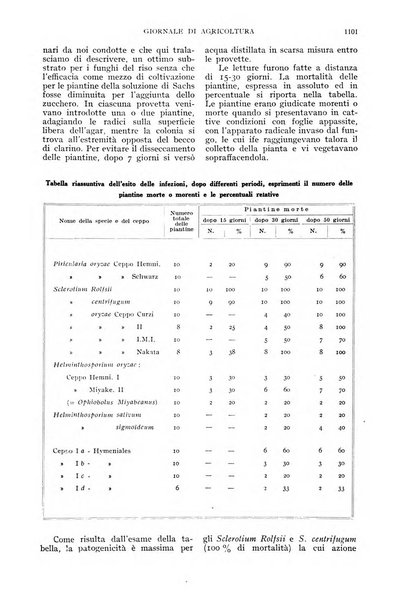 L'Italia agricola