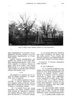 giornale/UM10003065/1934/unico/00001155