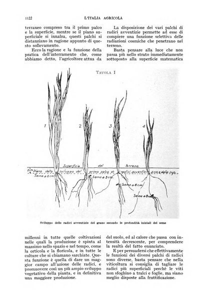 L'Italia agricola