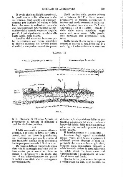 L'Italia agricola