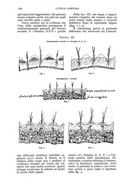 L'Italia agricola