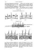 giornale/UM10003065/1934/unico/00001168