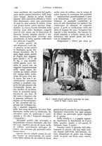 giornale/UM10003065/1934/unico/00001176