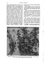 giornale/UM10003065/1935/unico/00000020