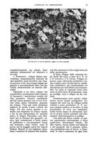 giornale/UM10003065/1935/unico/00000021