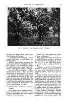 giornale/UM10003065/1935/unico/00000035